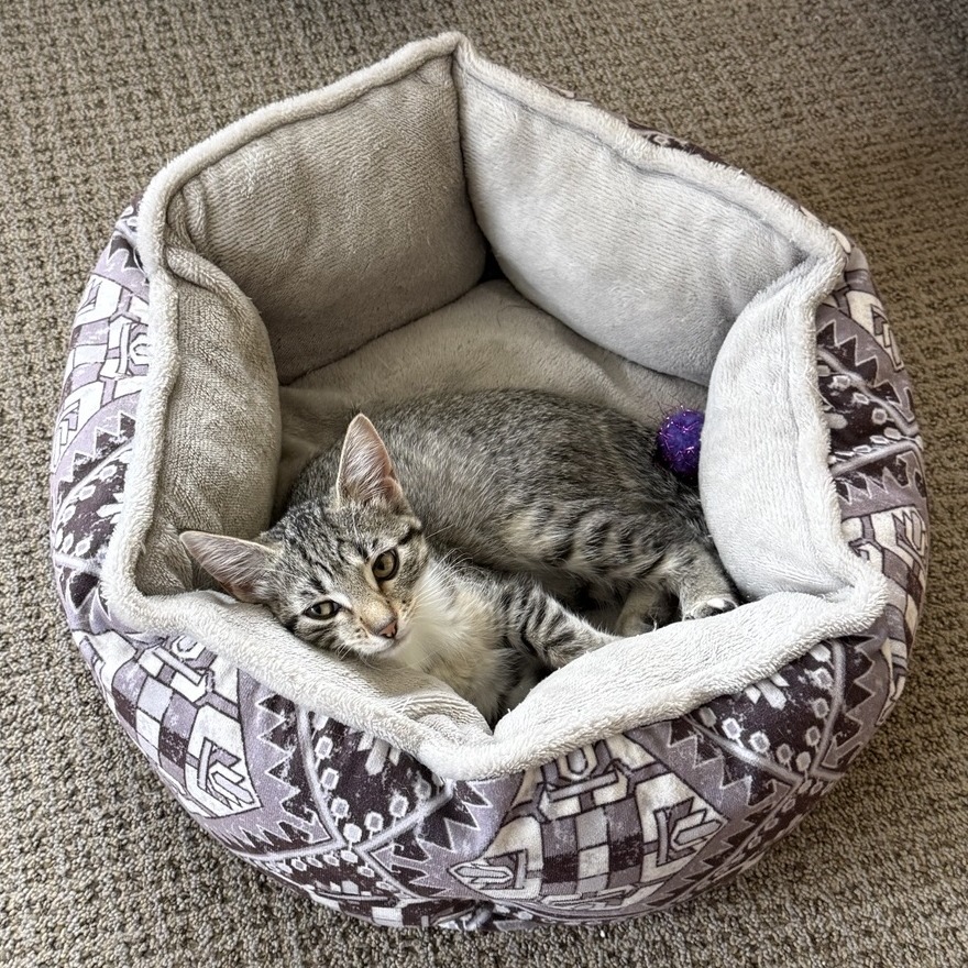 Nora, photo 5