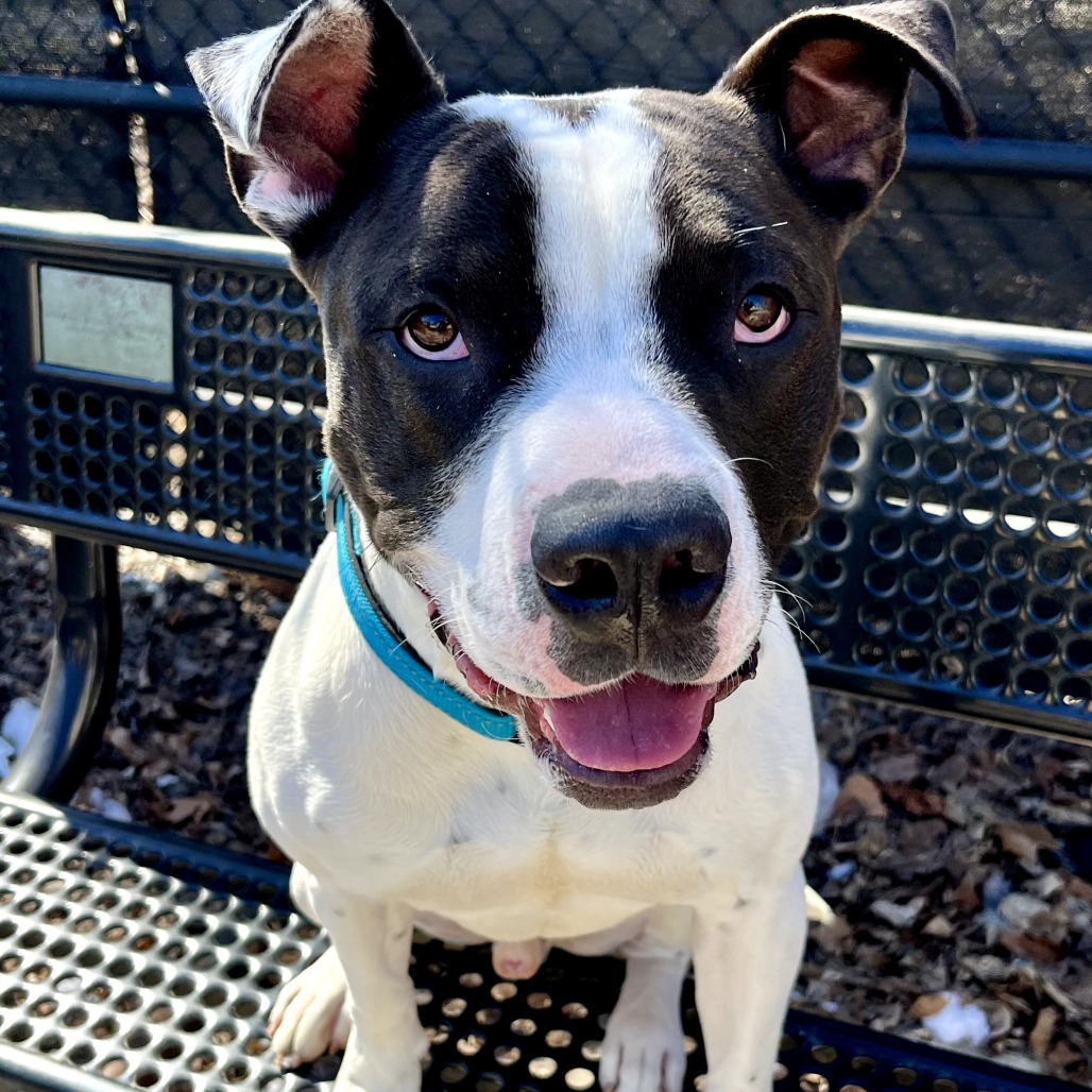 Carl — thumbnail 7