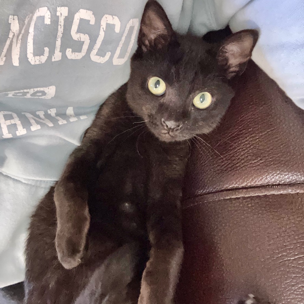 WILBERT, photo 2