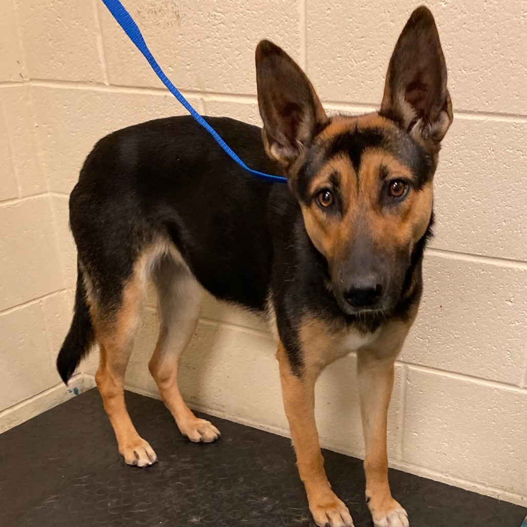 SUNSTORM — thumbnail 8