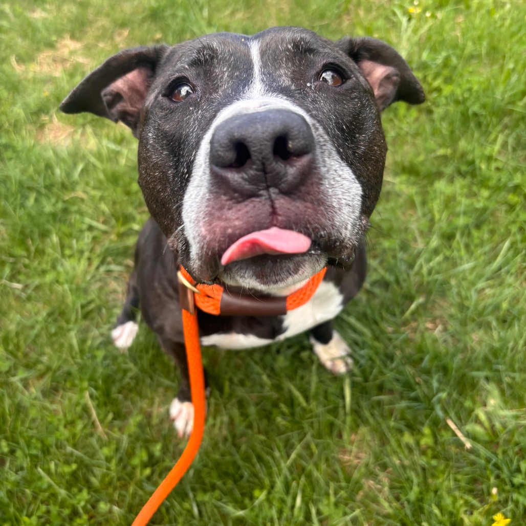 a7a55c7c642cf51ae5b8c28b45f91ae6