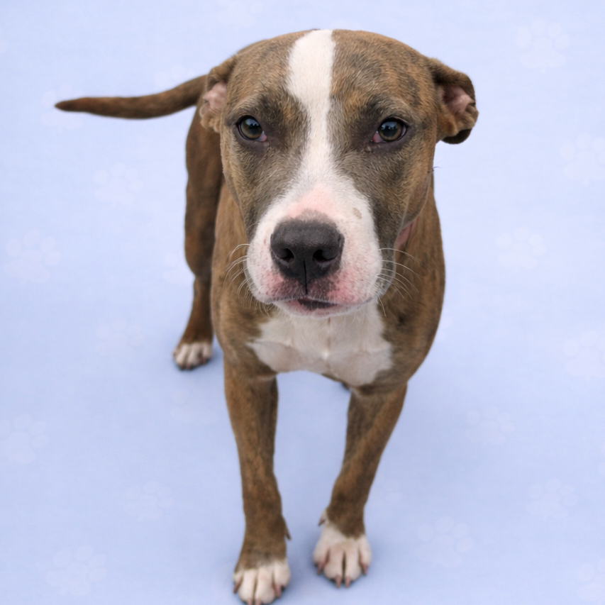 Natalia — thumbnail 3