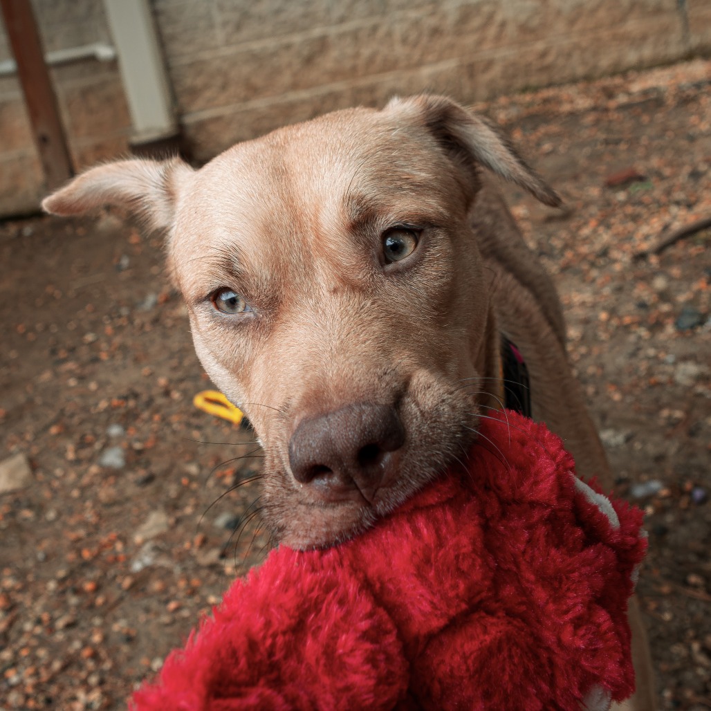 Cherie, photo 10