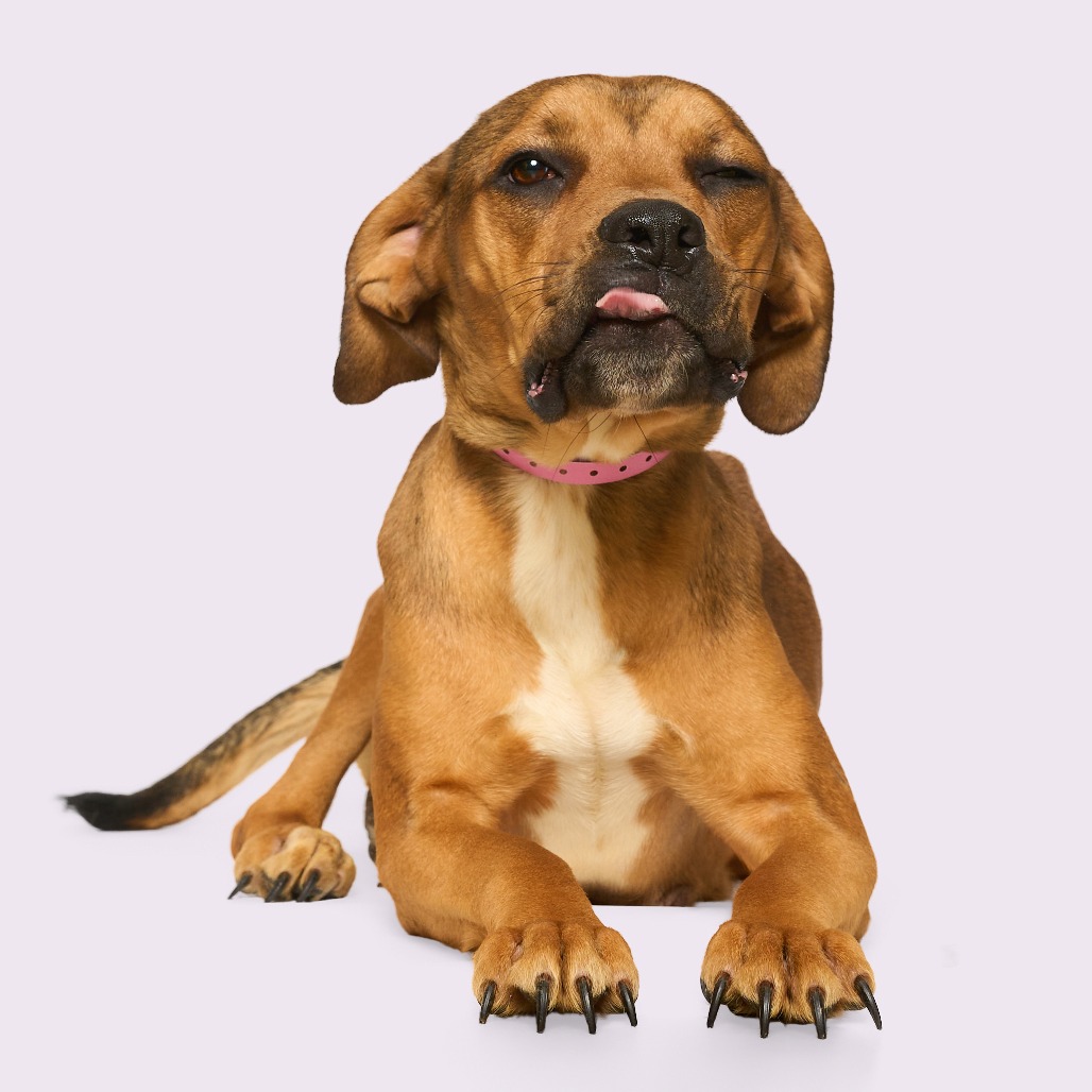 Debra — thumbnail 10