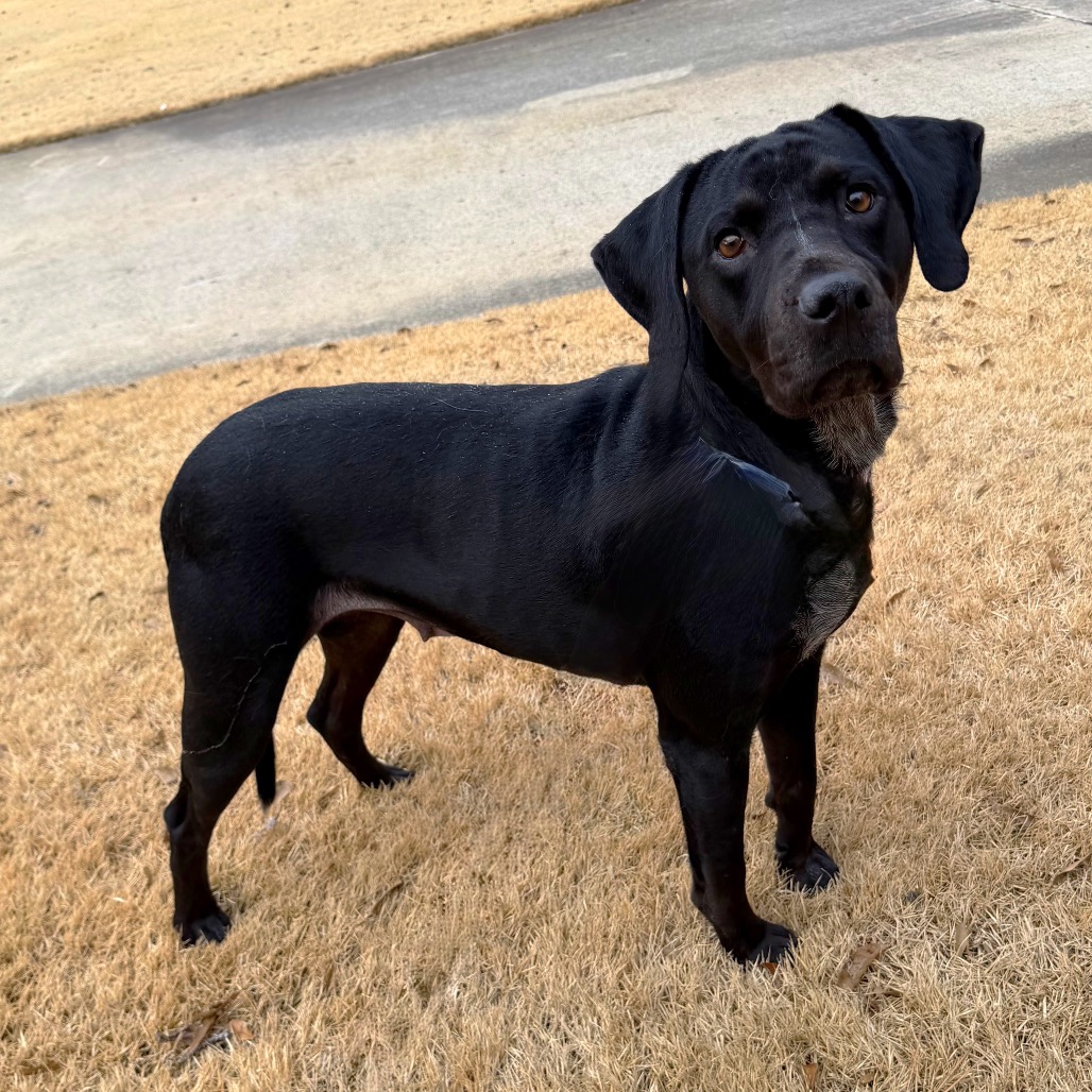 Trix — thumbnail 2