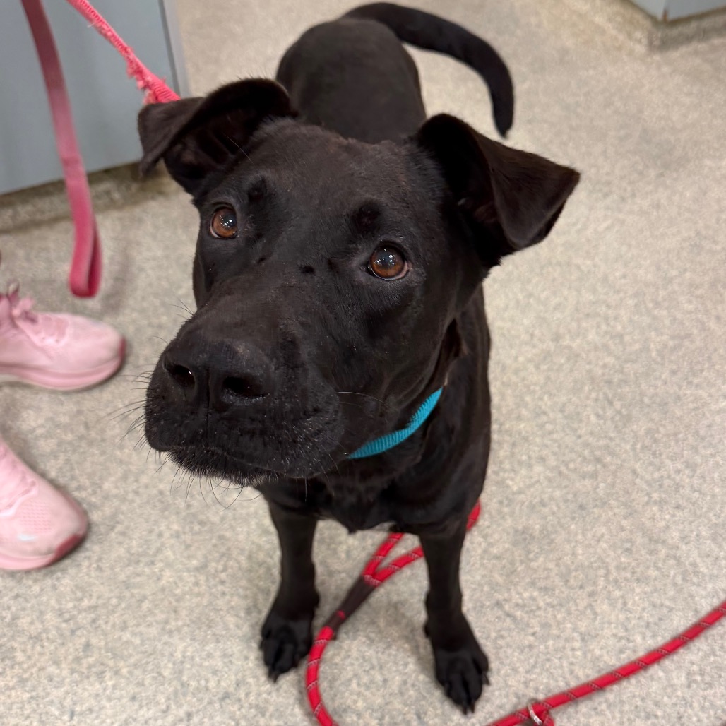 Locket