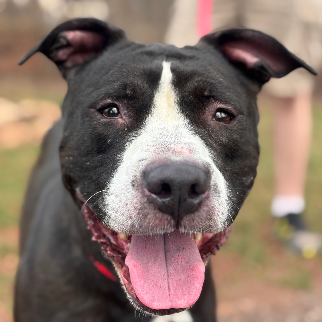 d13ce90c0c88b26f88938c1cd3c156b3