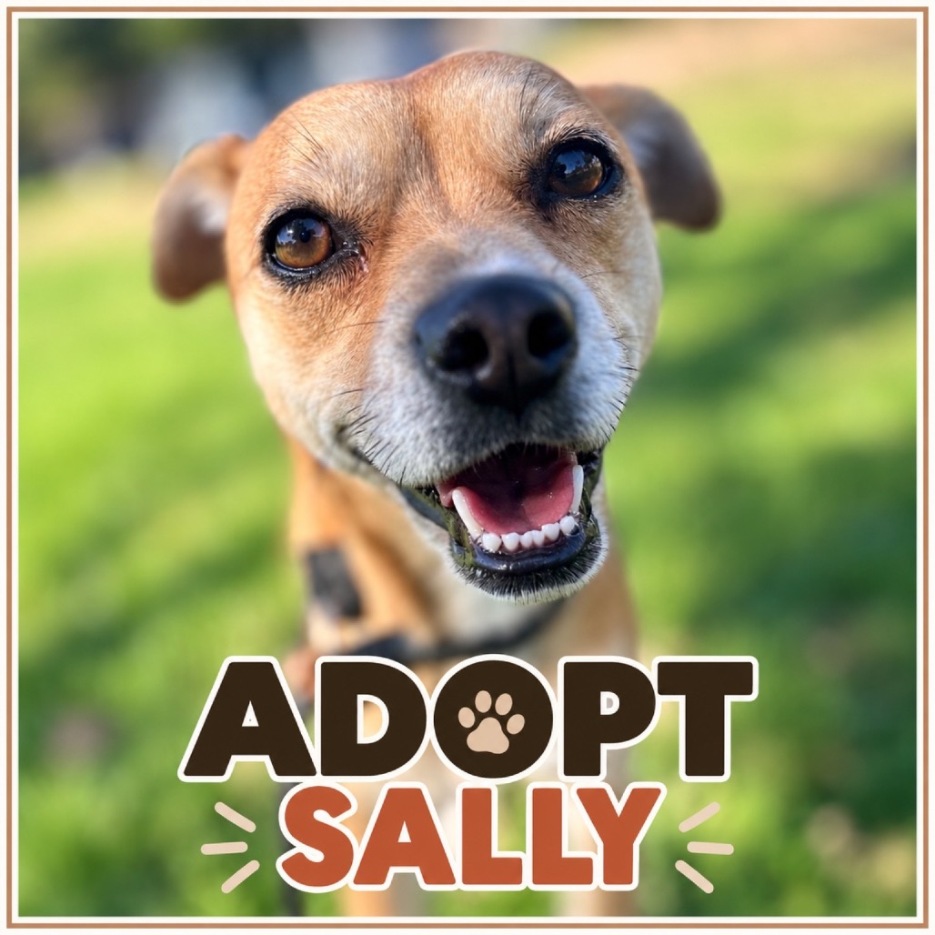 SALLY, photo 7