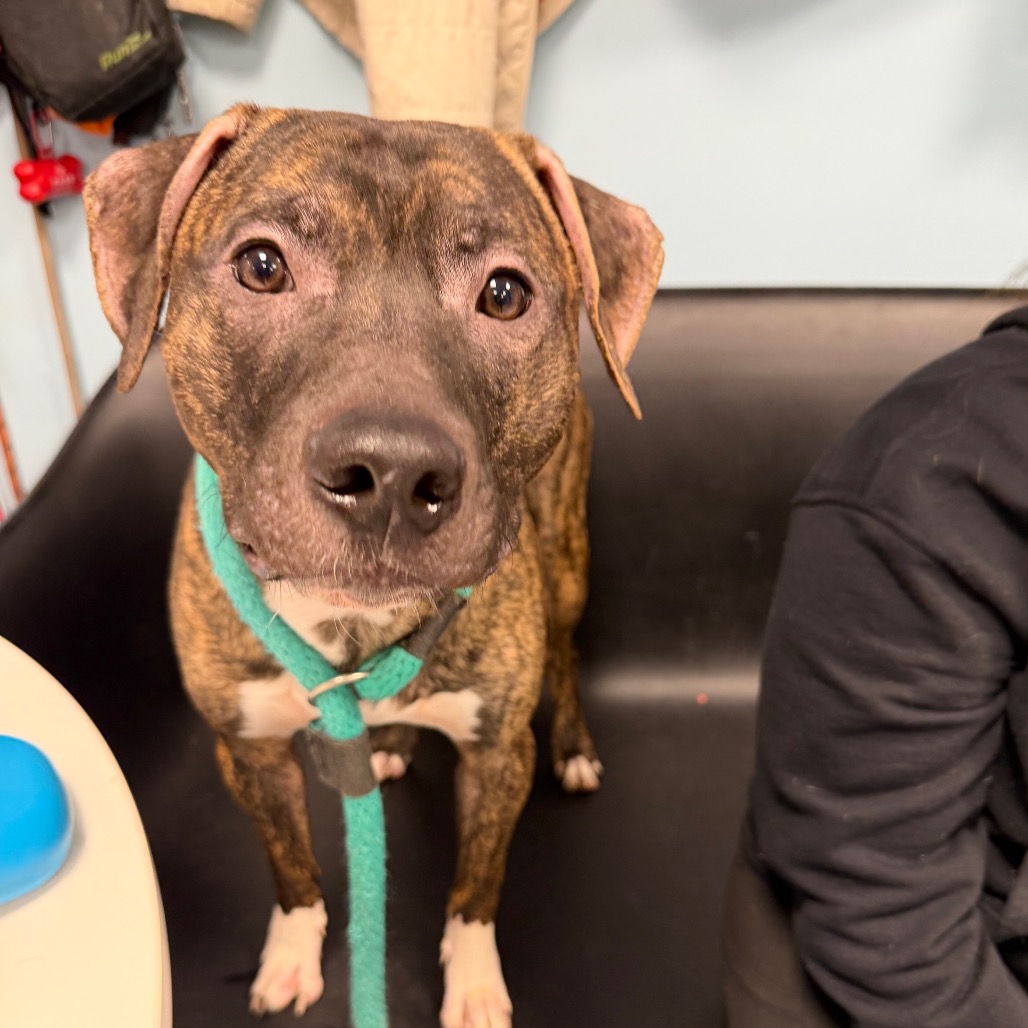 Carter — thumbnail 2