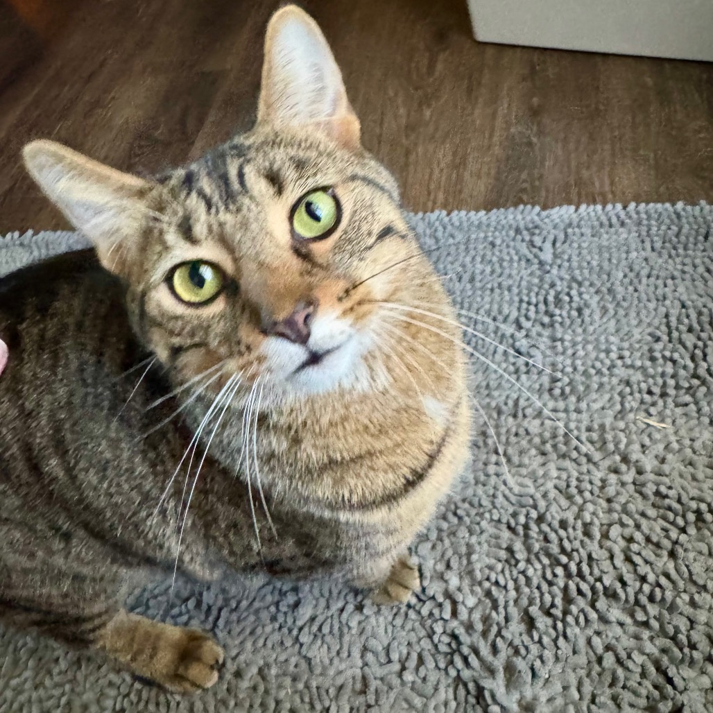 Sammy