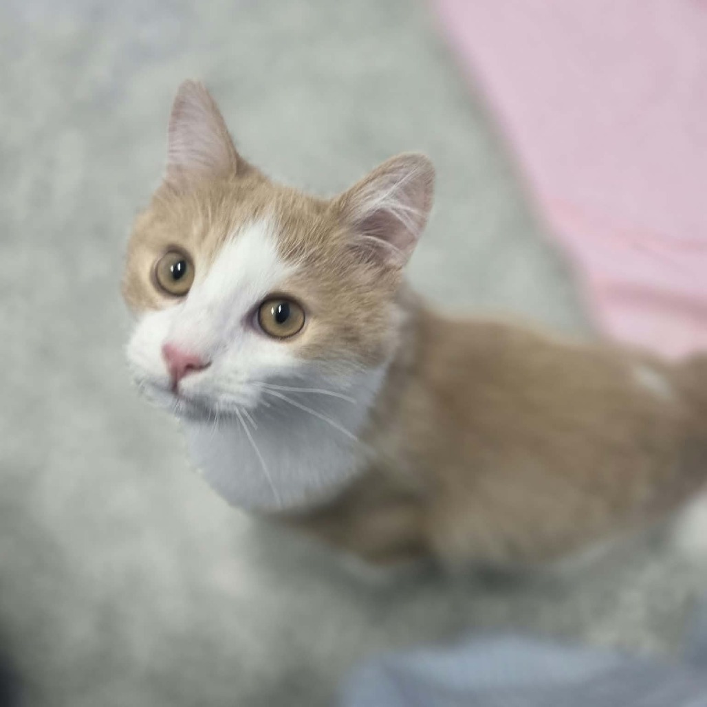 Marvin