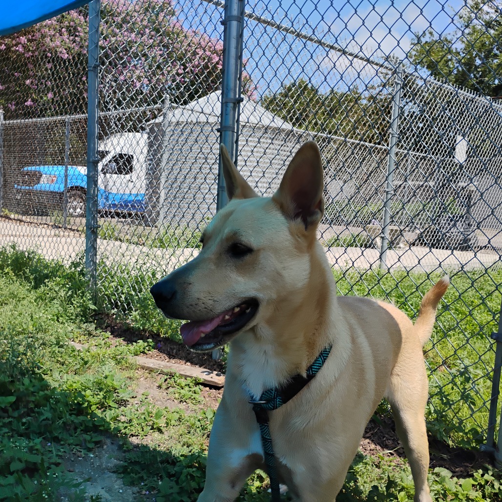 Cooper photo 4
