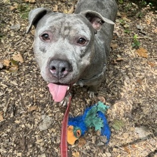 Milori — thumbnail 5