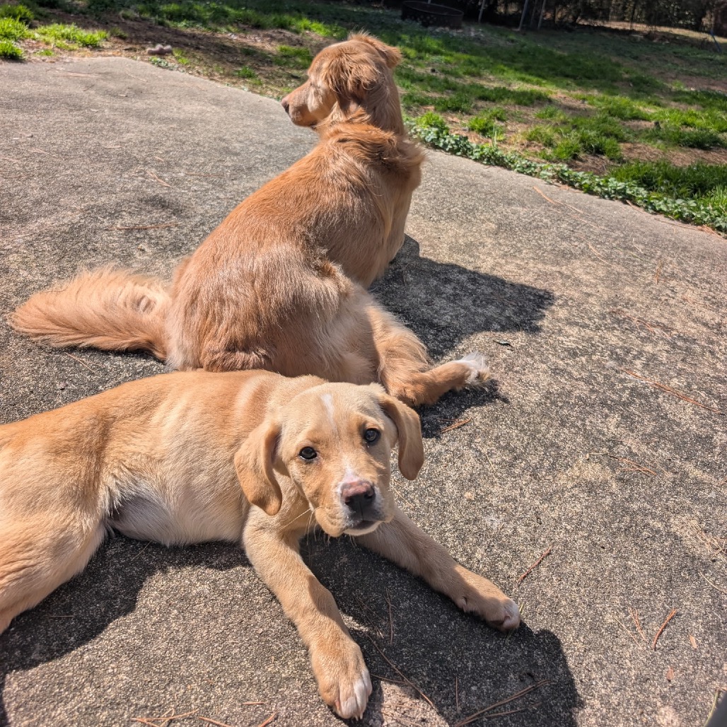 Natasha — thumbnail 5