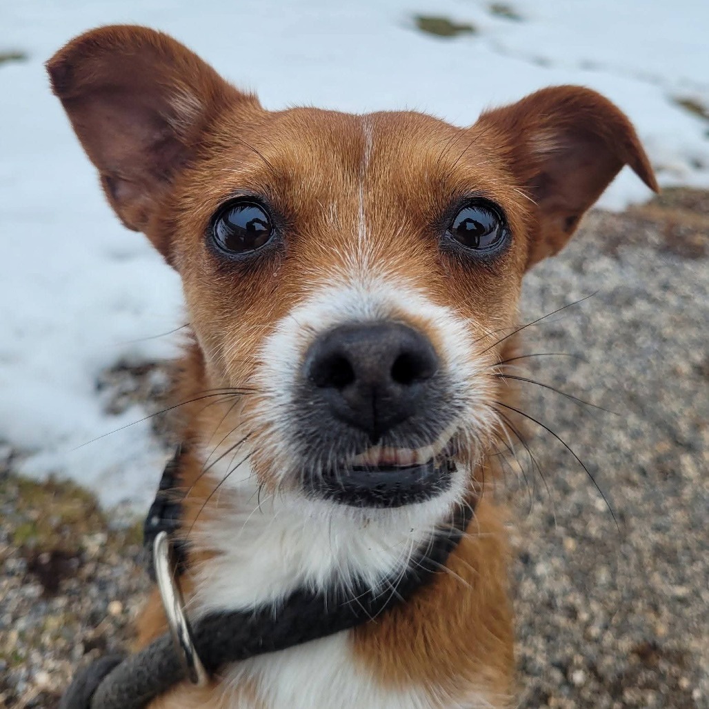 f7665e384f973464937089609dc12b38