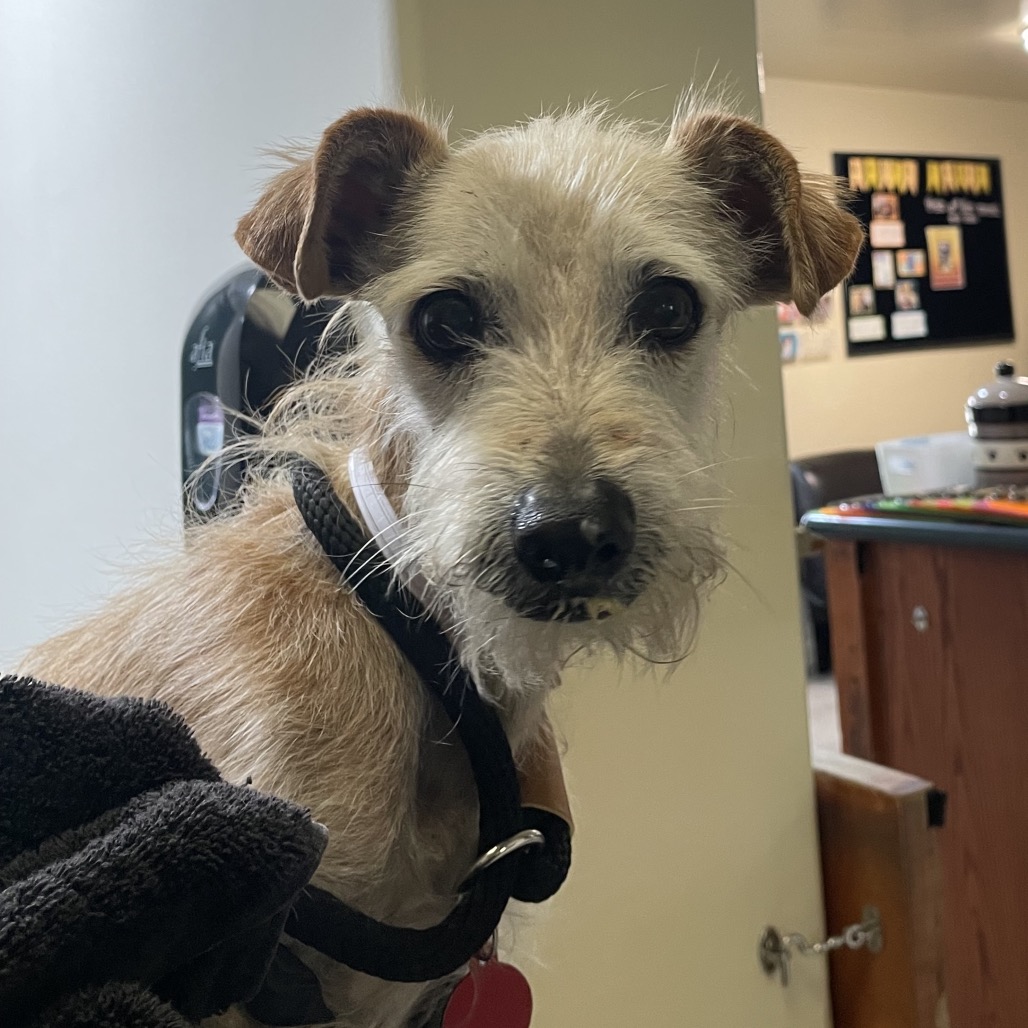 Ernie