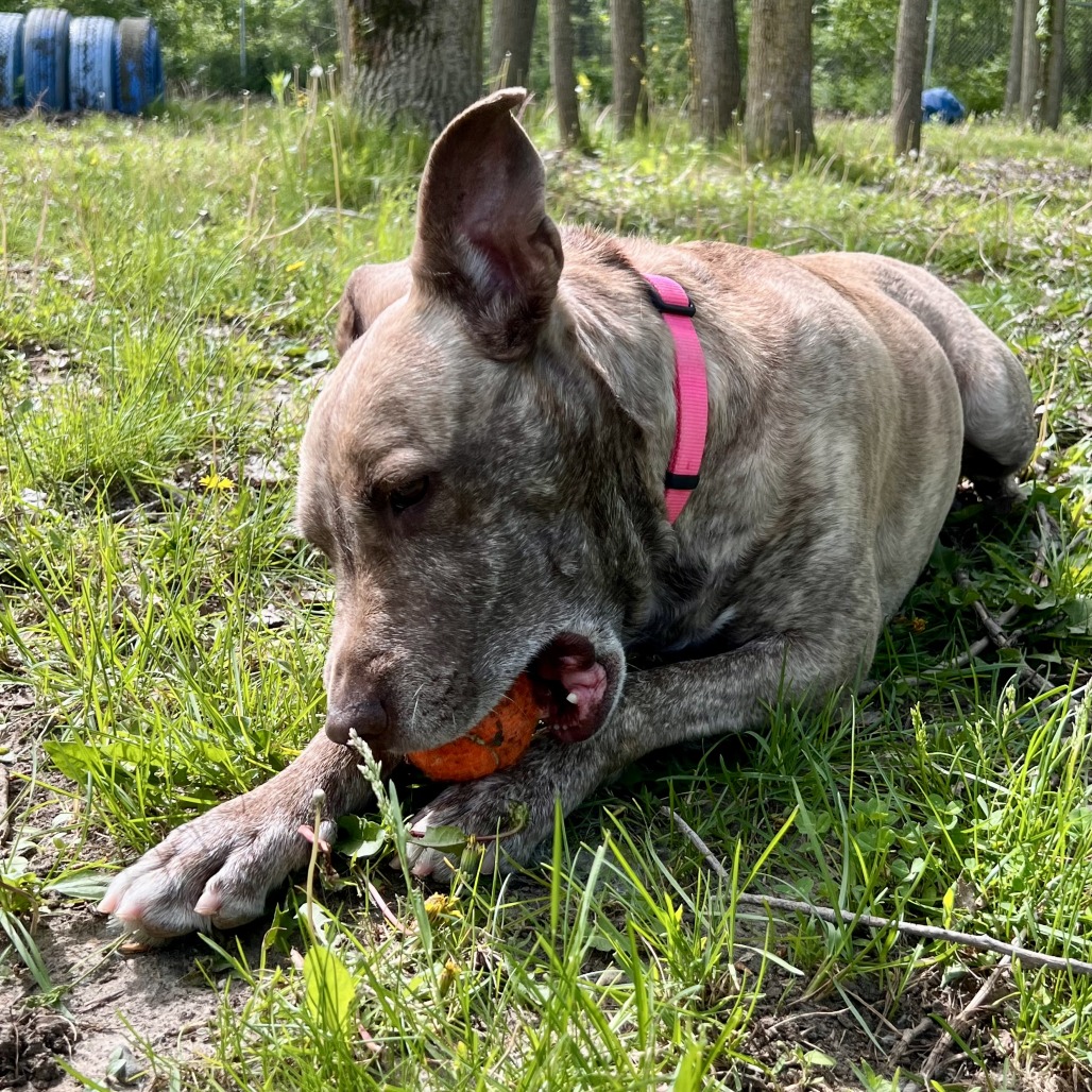 Dixie Loo, photo 24