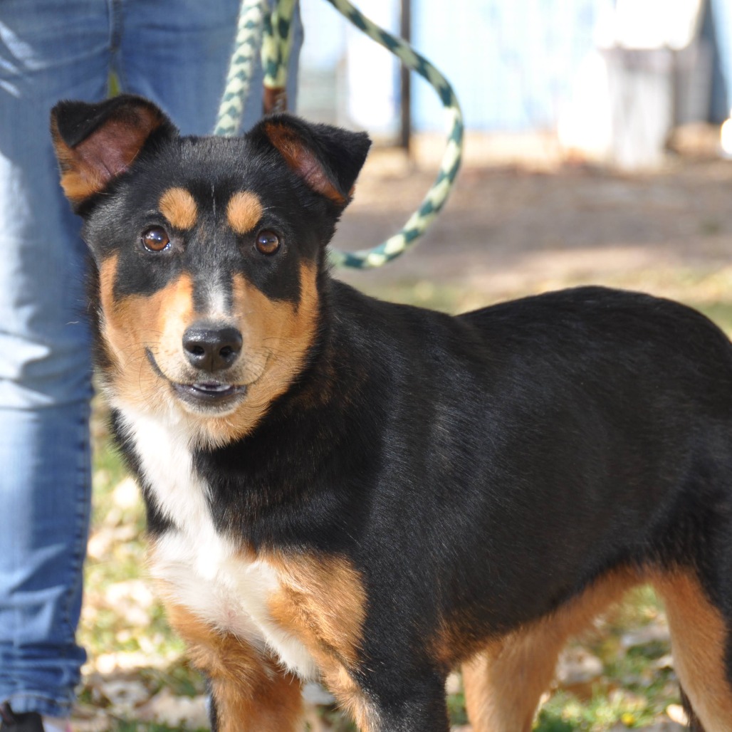 Mimi — thumbnail 2