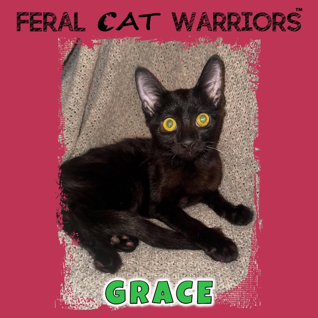Grace