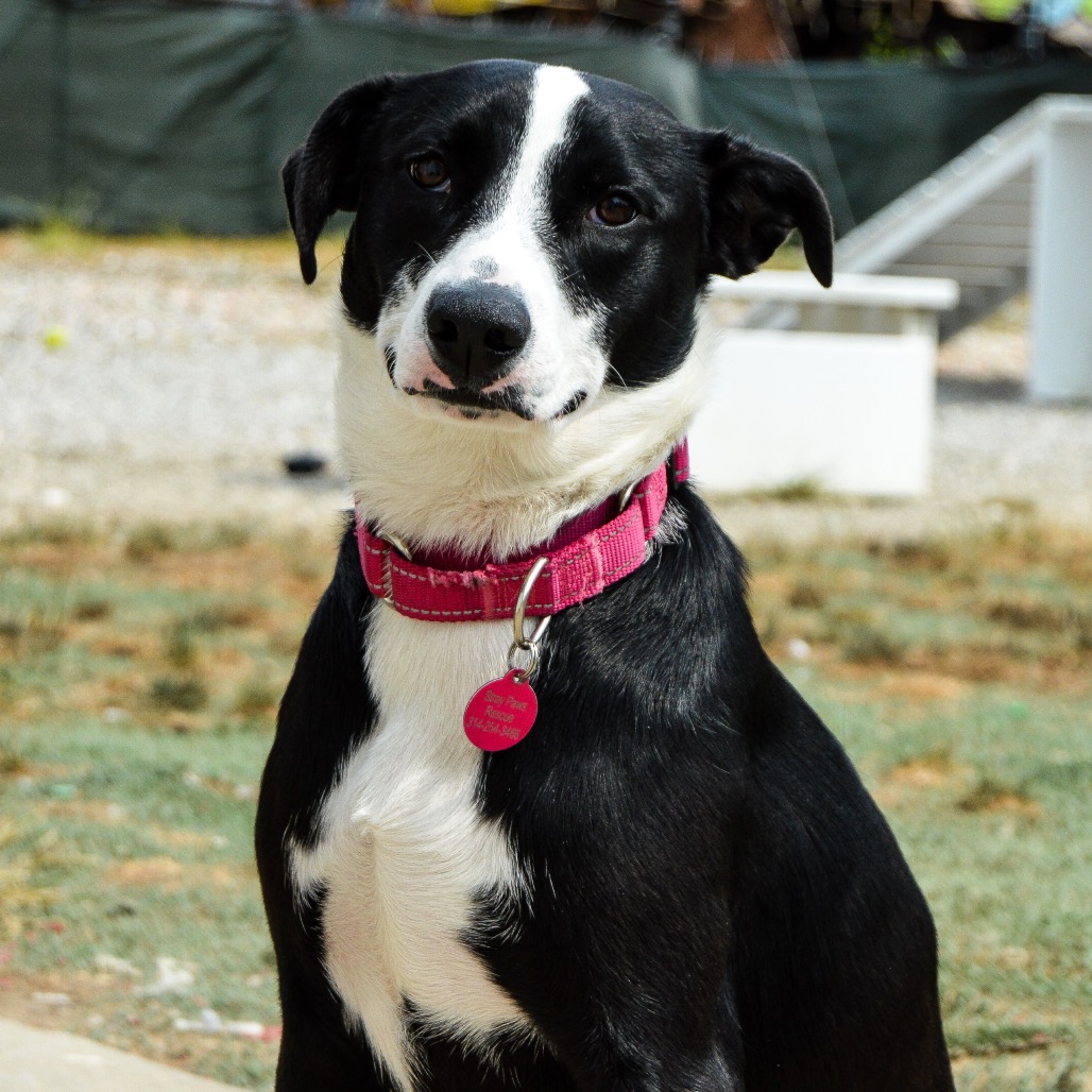 Esther