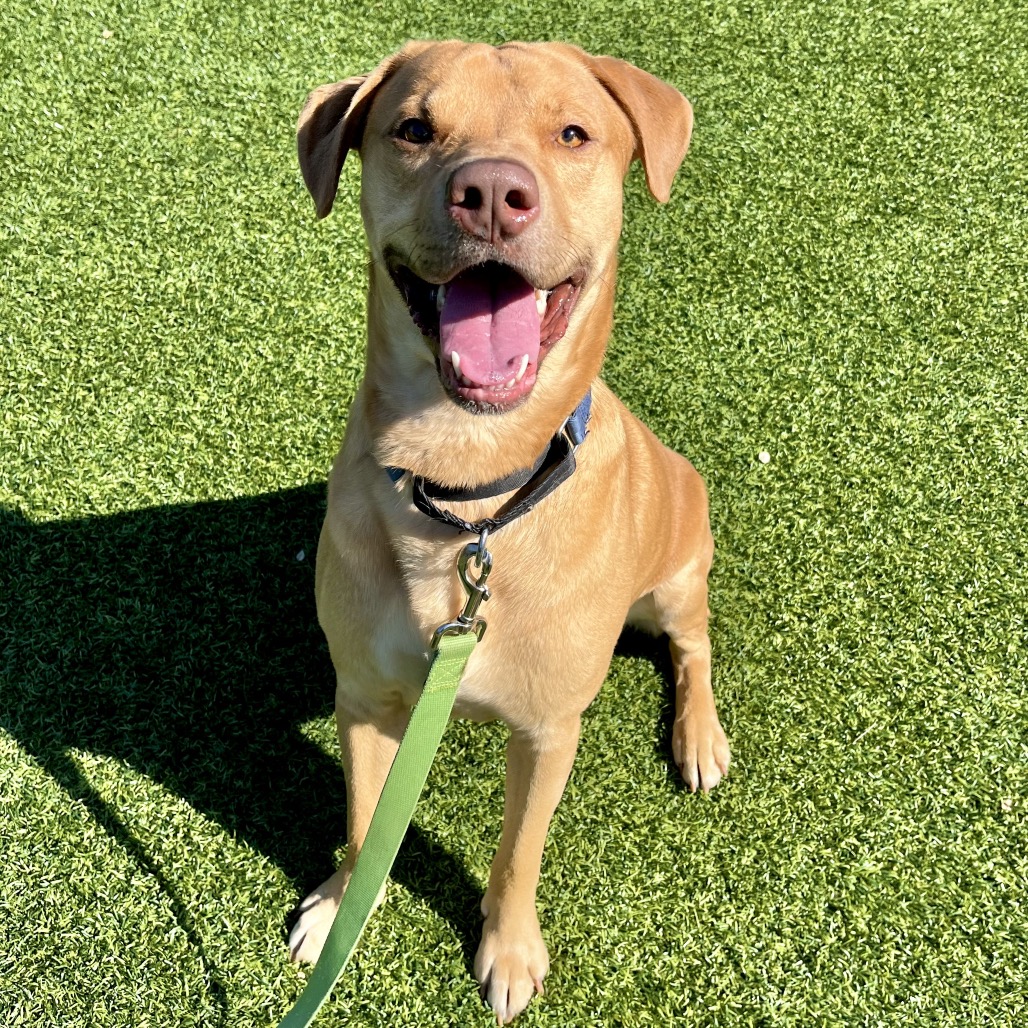 Photo of Gus 7