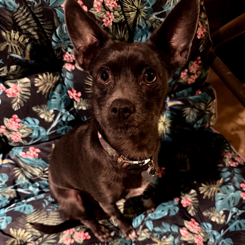Photo of Rico "Duffus"