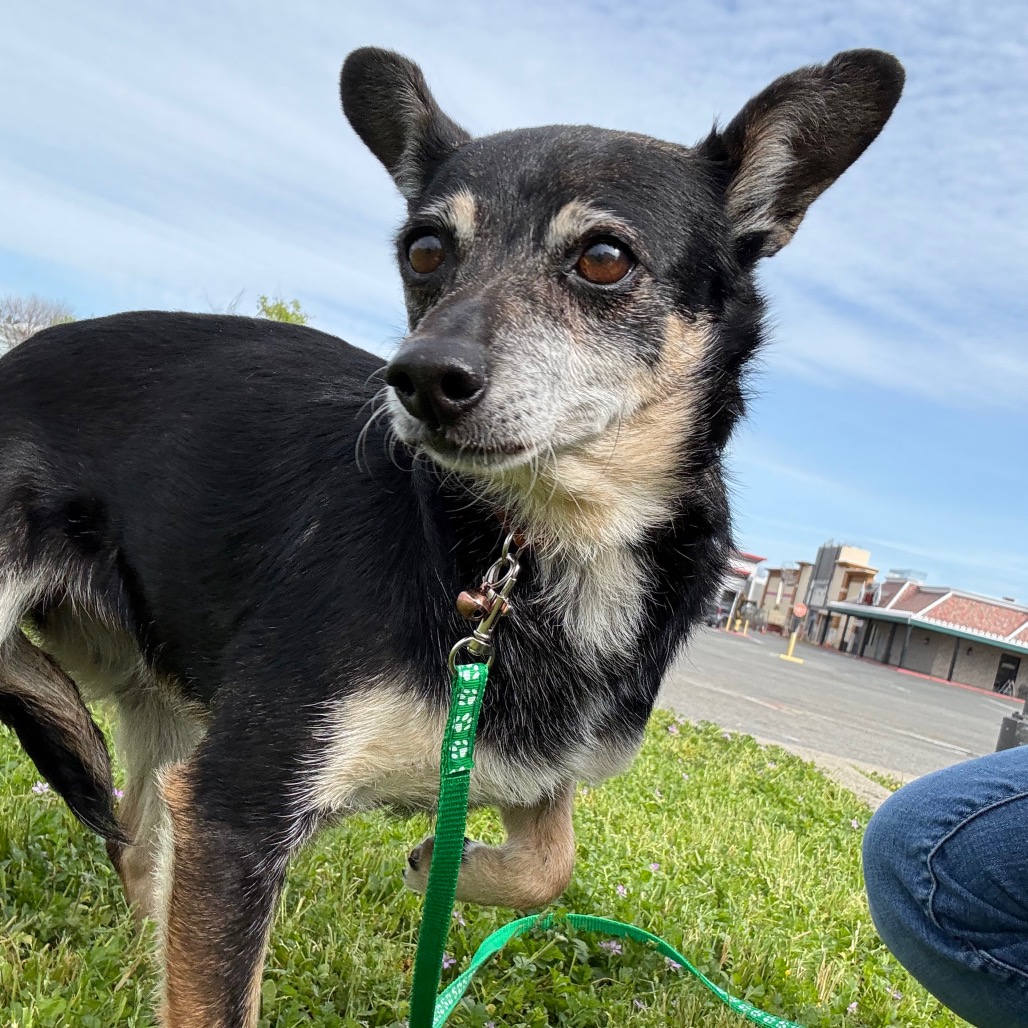 McMuffin — thumbnail 5