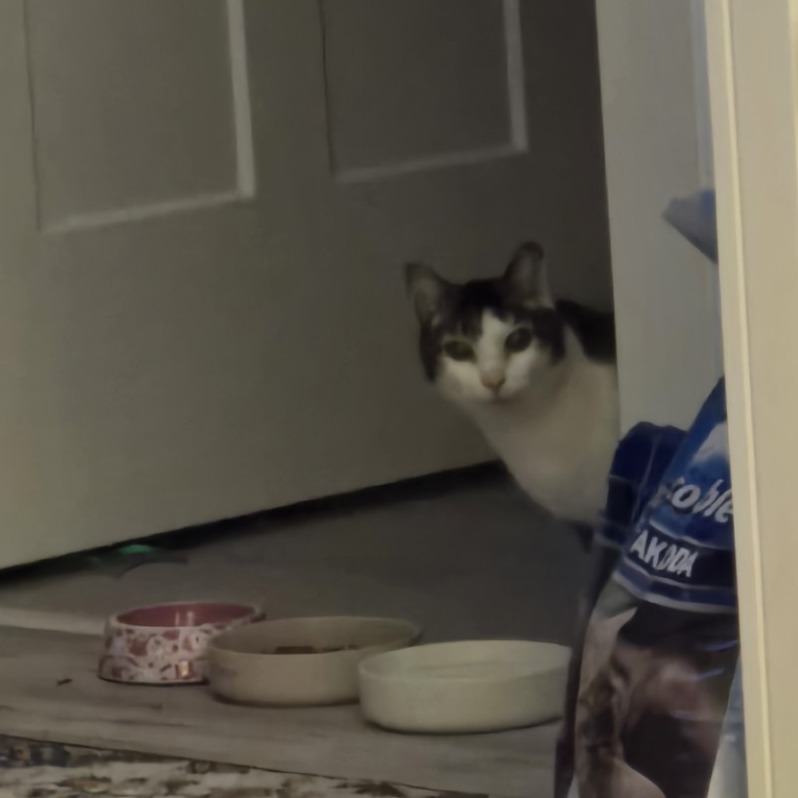 Escher-Foster — thumbnail 2