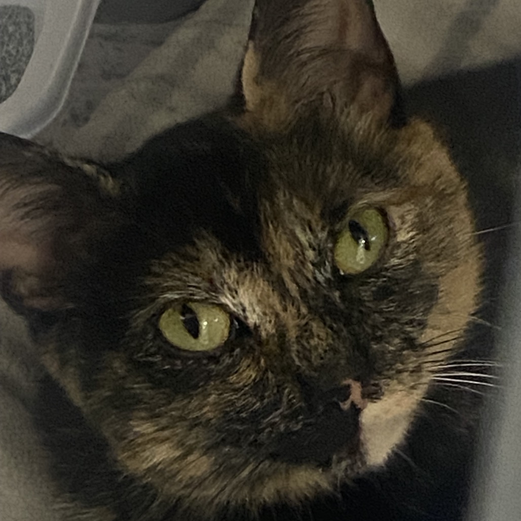 Pippie (mom), photo 5