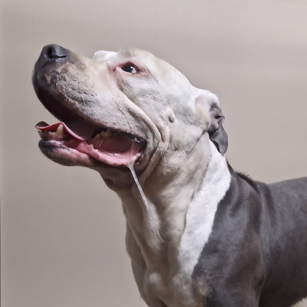 Kennel#30 's preview photo