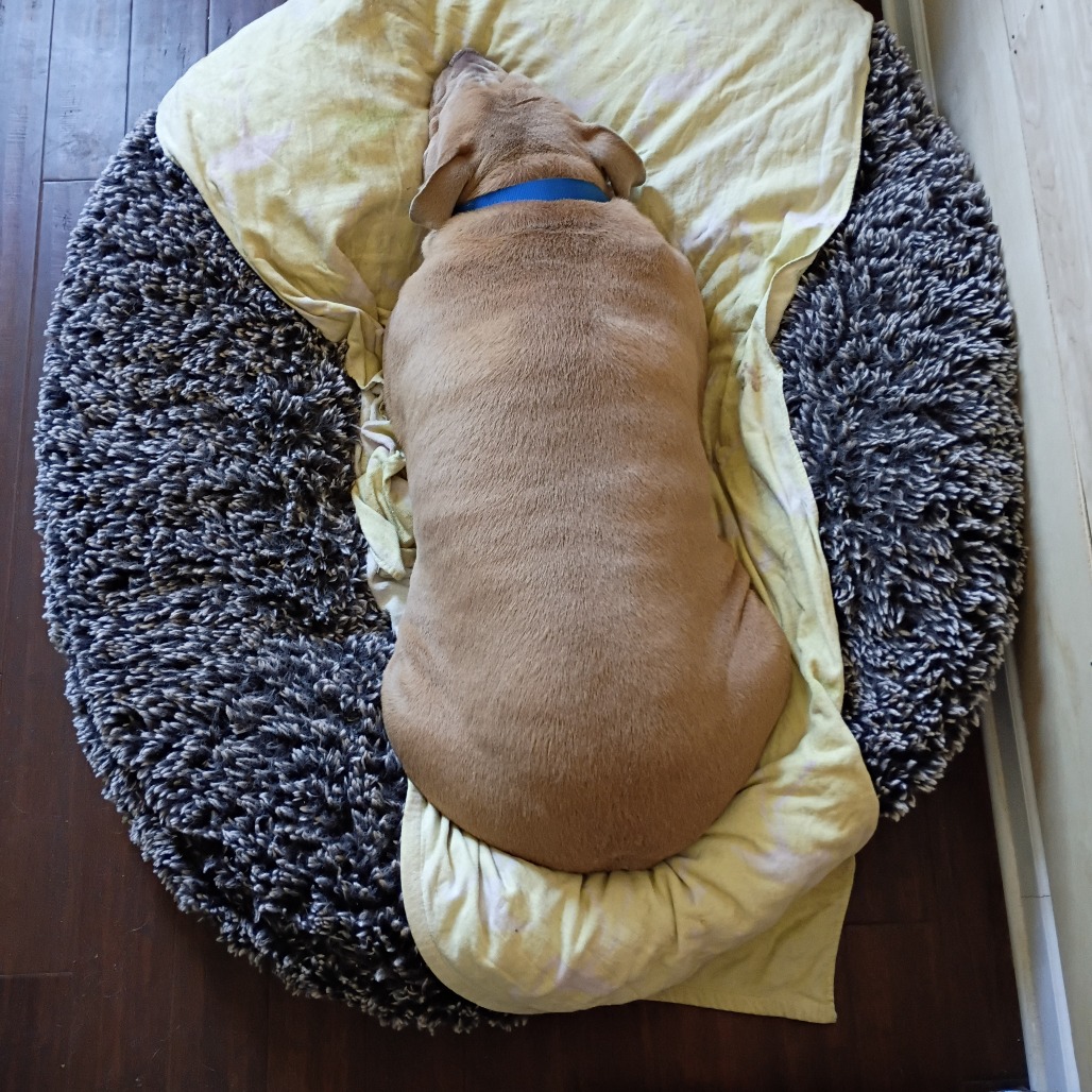 Ellie Belly, additional photo