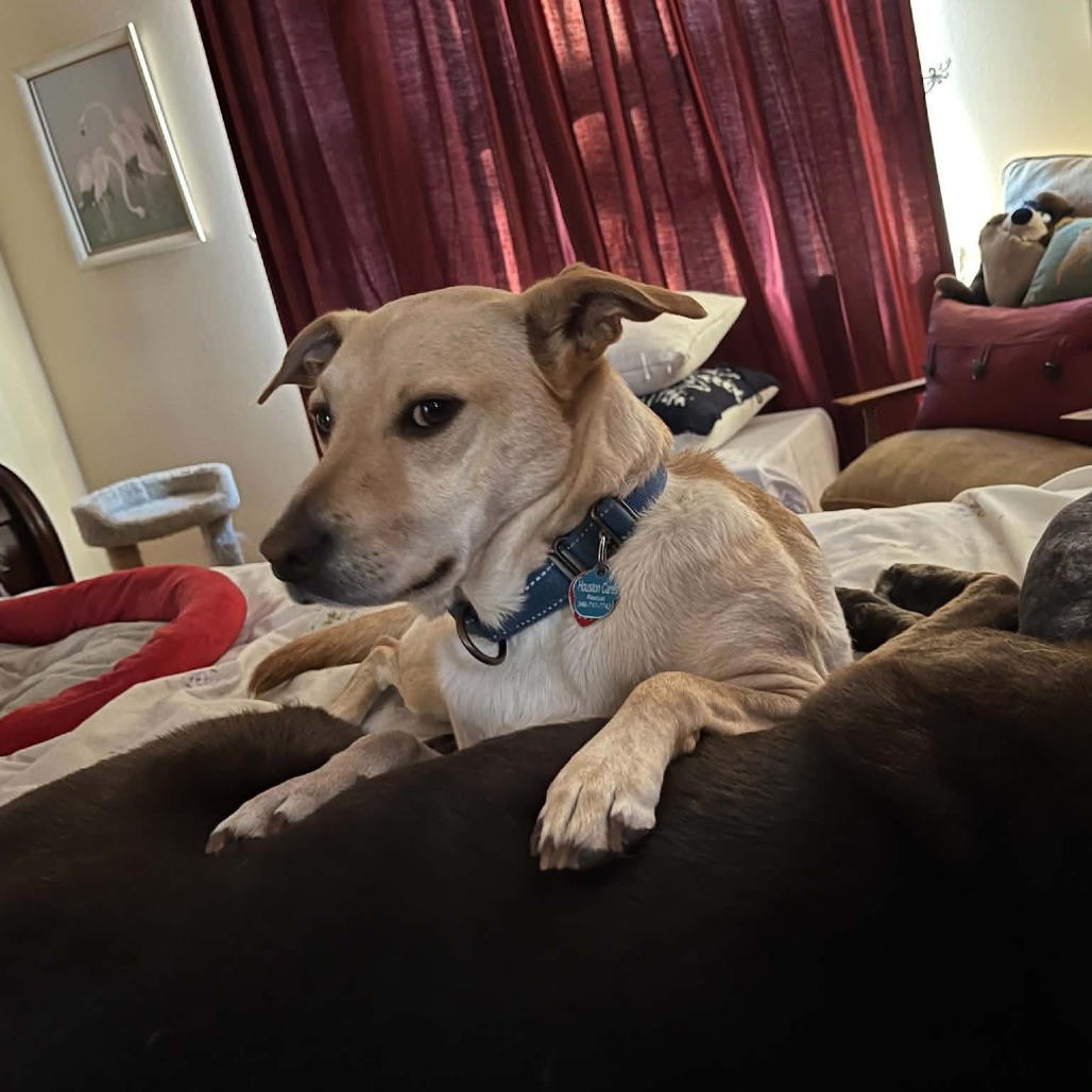 Dwight, photo 58