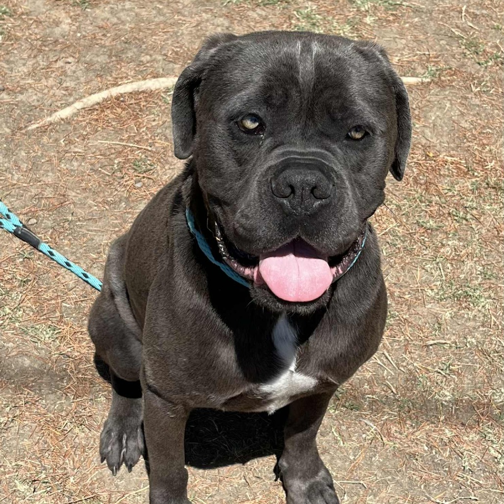 Adam — thumbnail 2