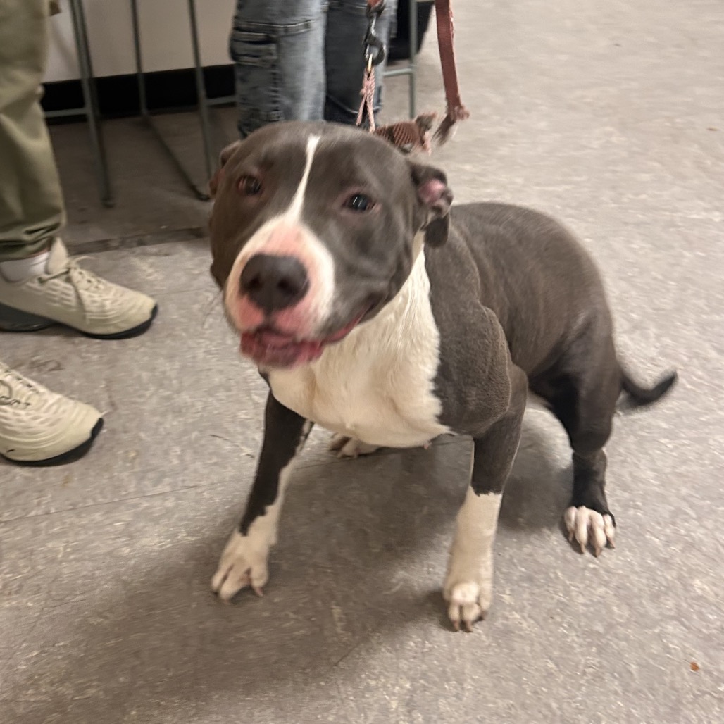 Bubbaley — thumbnail 2