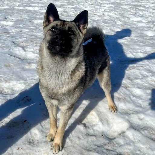 Biggz — thumbnail 5