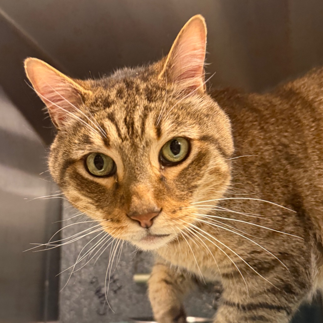 Trent — thumbnail 2