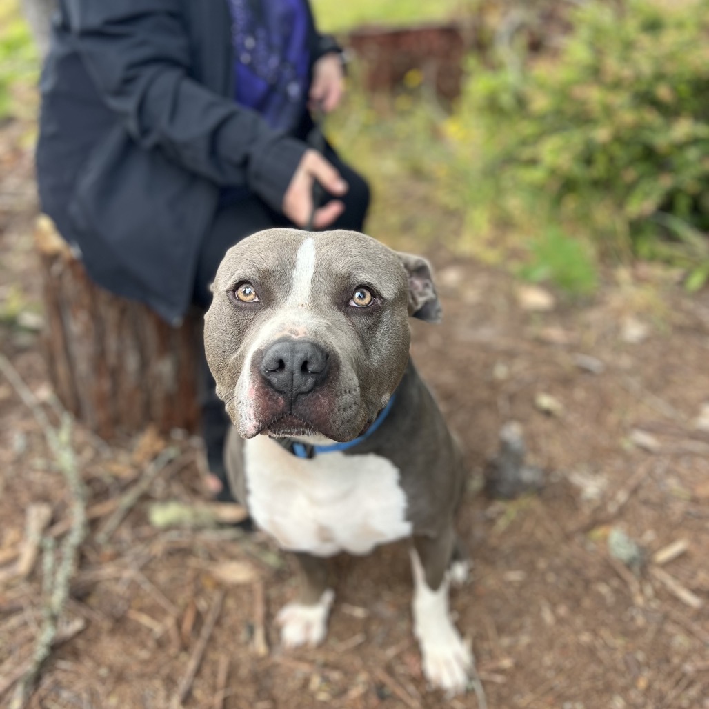 Smokey — thumbnail 5