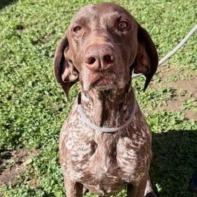 Kennel#21(BD)'s preview photo