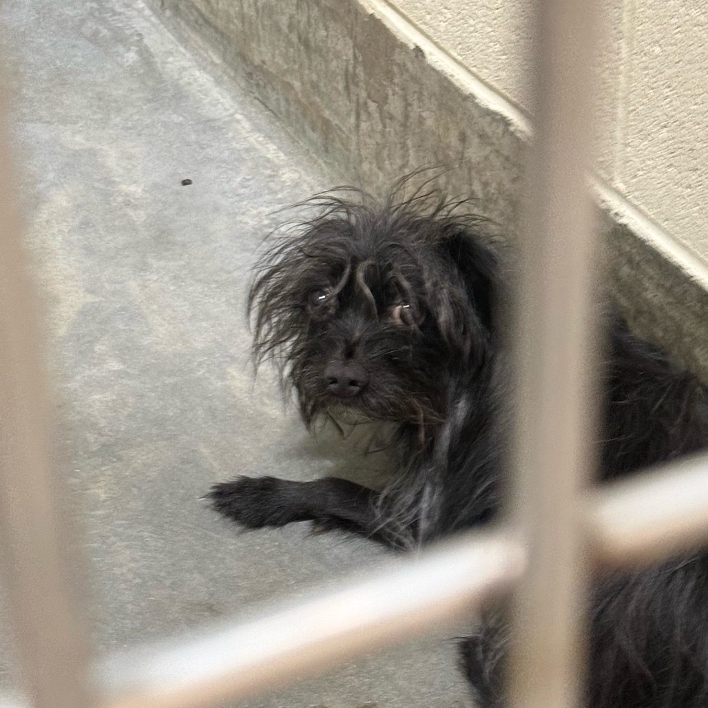 TITO, photo 2