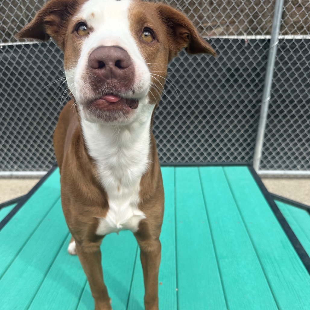 Molly — thumbnail 3