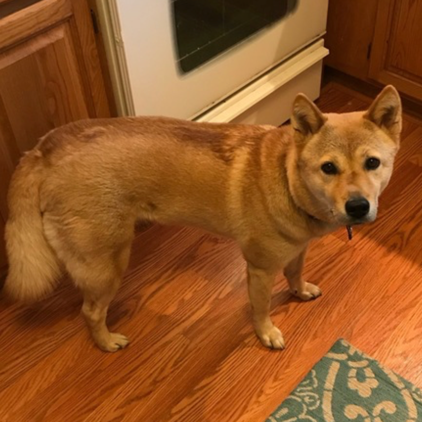 Moxie, photo 6