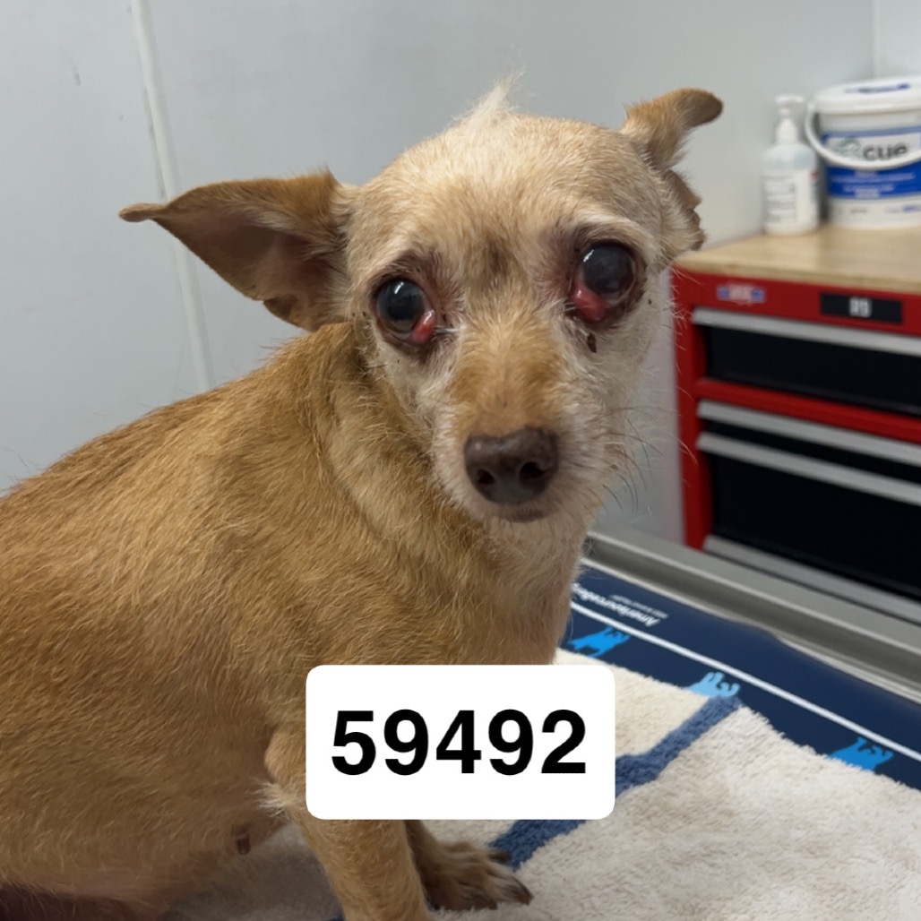 Peaches G — thumbnail 2