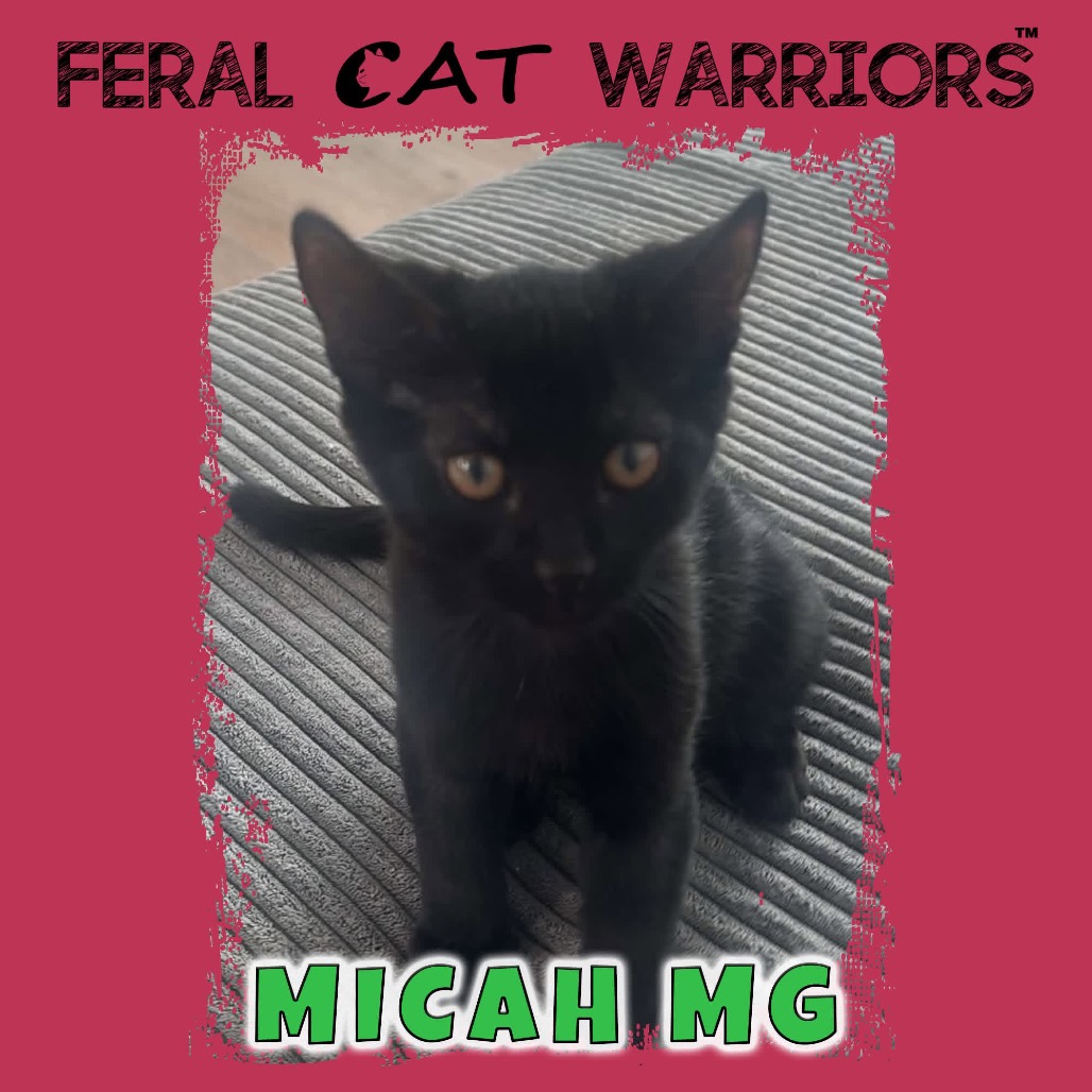 Micah MG