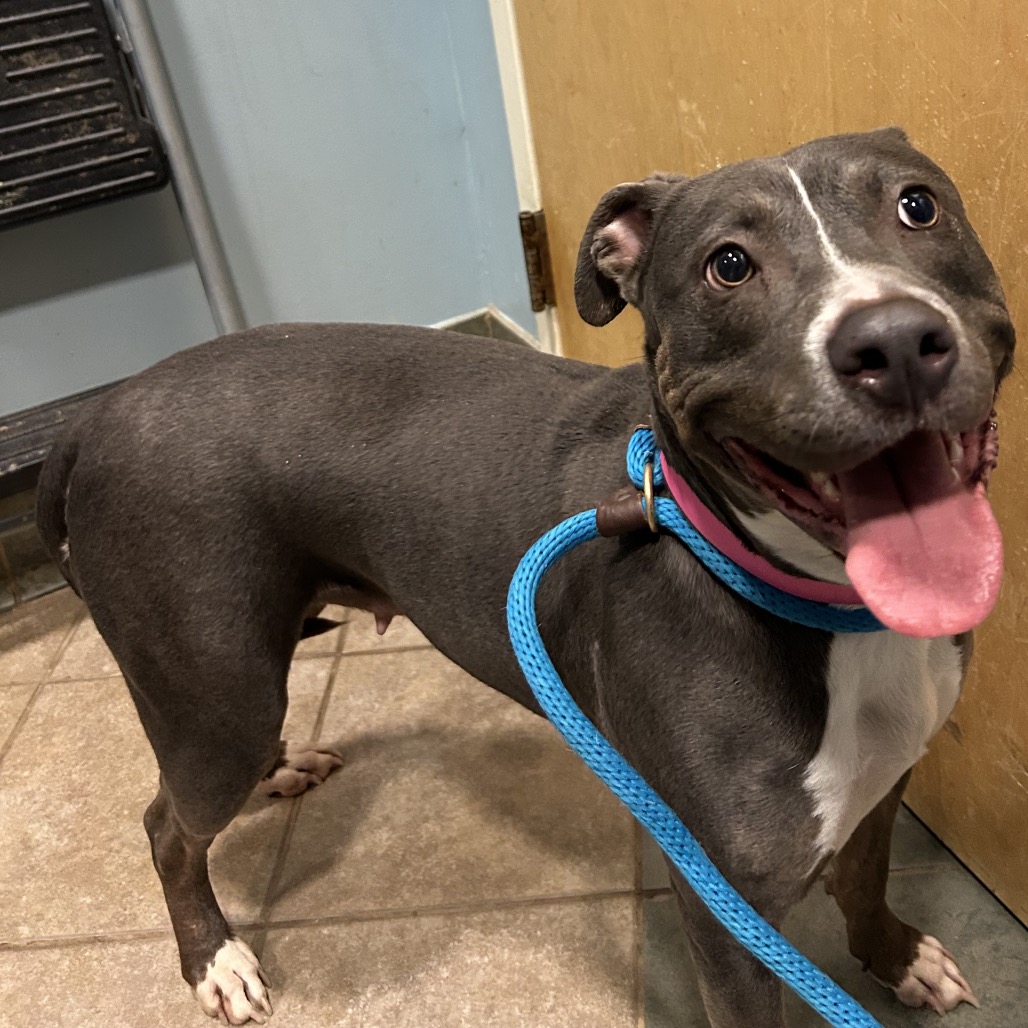 Coco — thumbnail 3