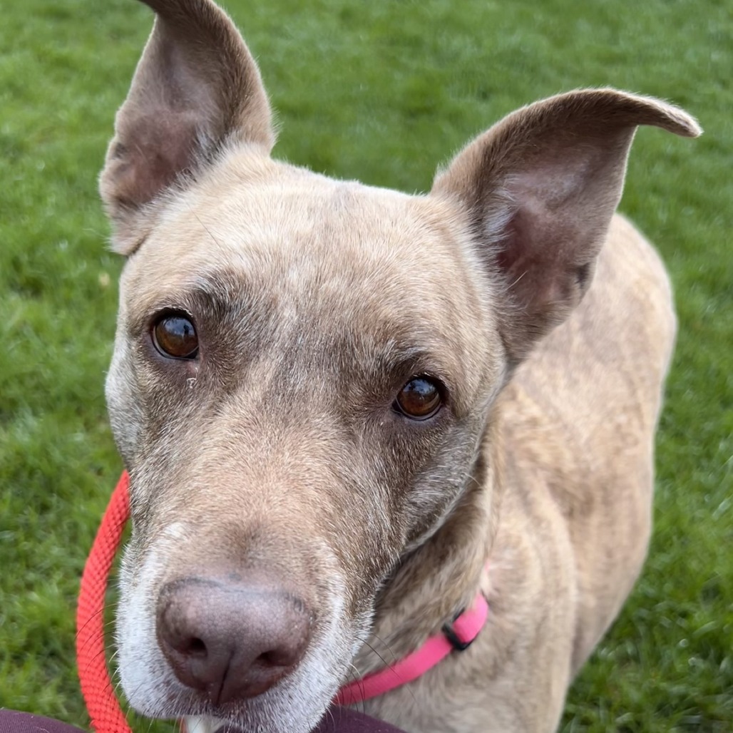 Dixie Loo, photo 19