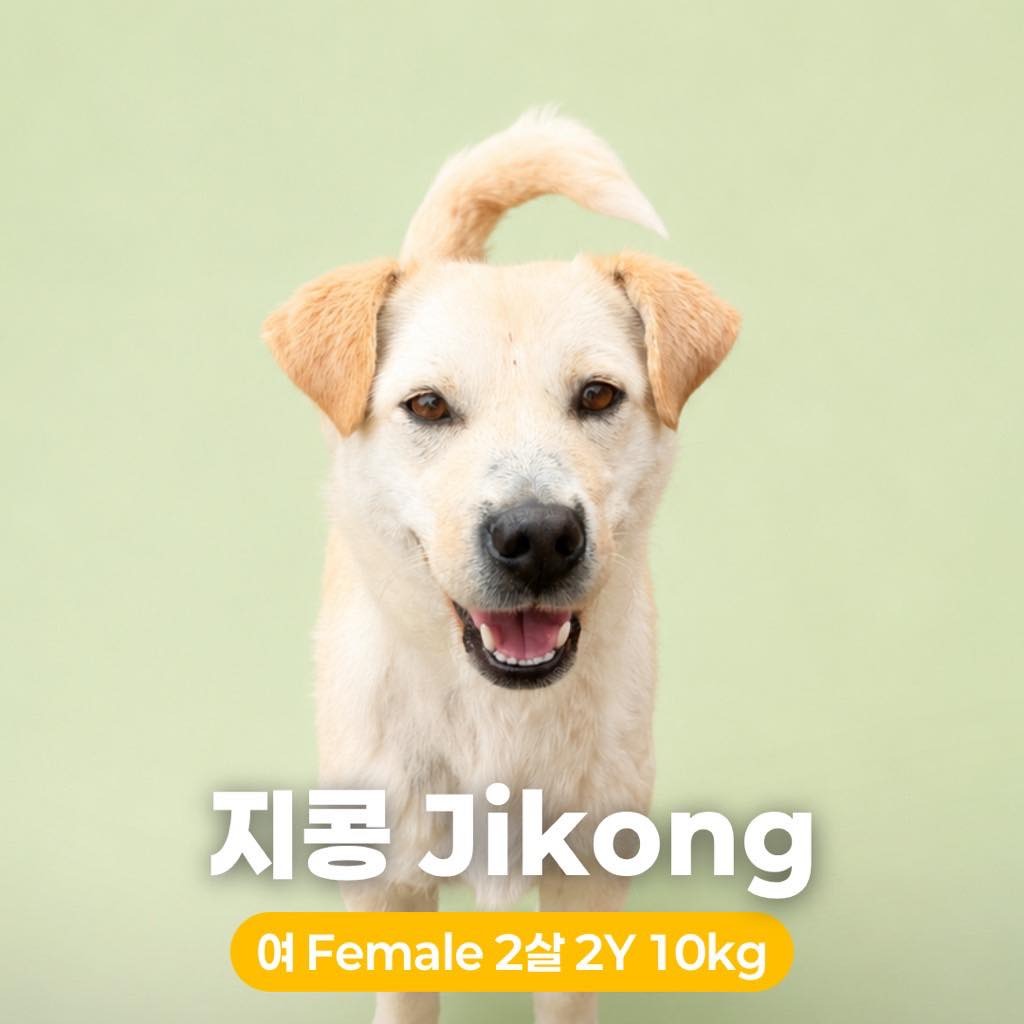 Jikong Hw+