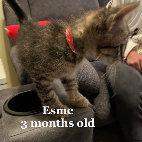 Esme C12415