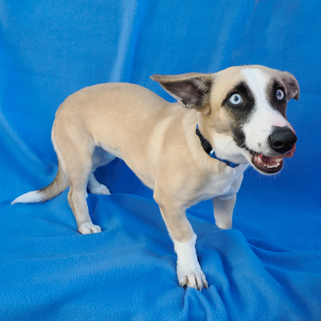 LILAH, photo 6