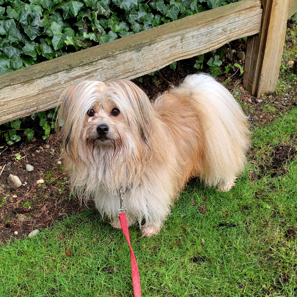 Jack — thumbnail 4