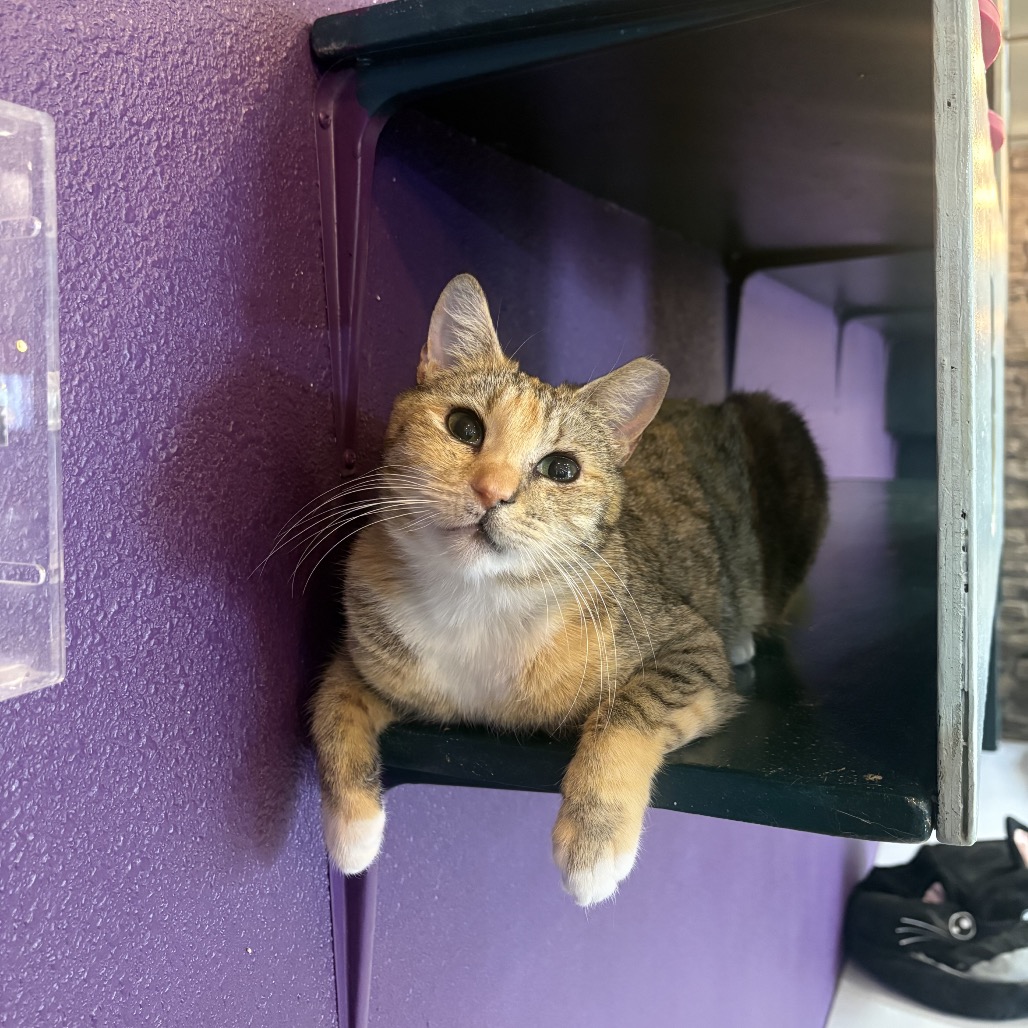 Photo of Meredith